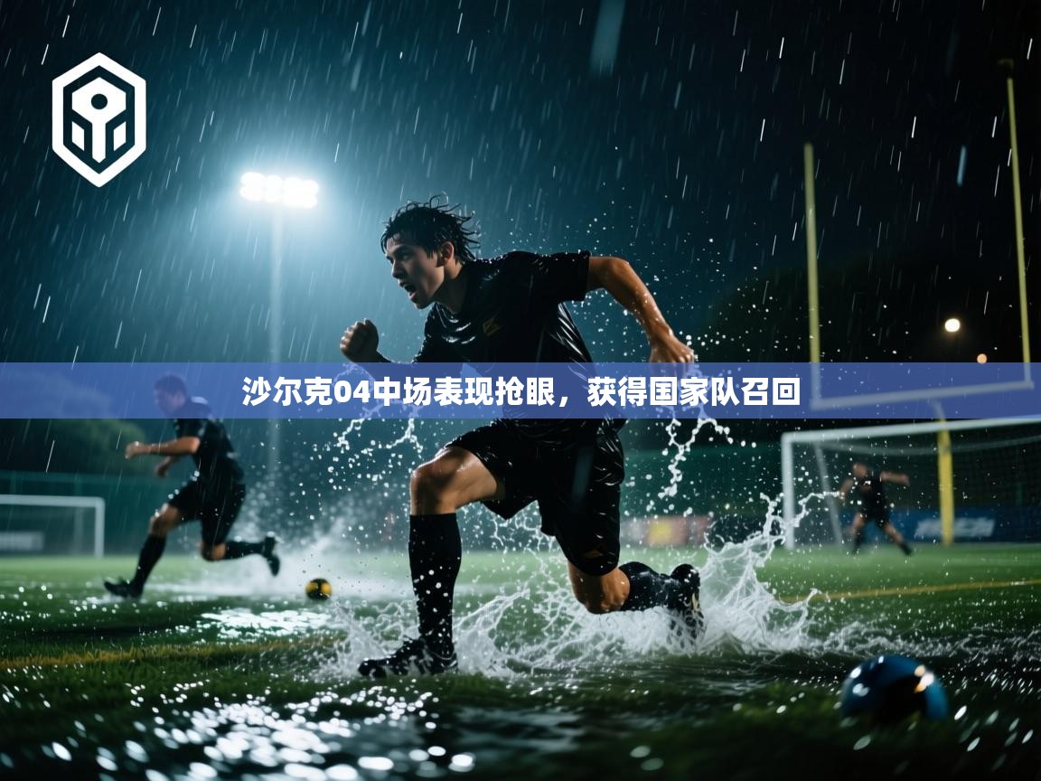 沙尔克04中场表现抢眼，获得国家队召回  第2张