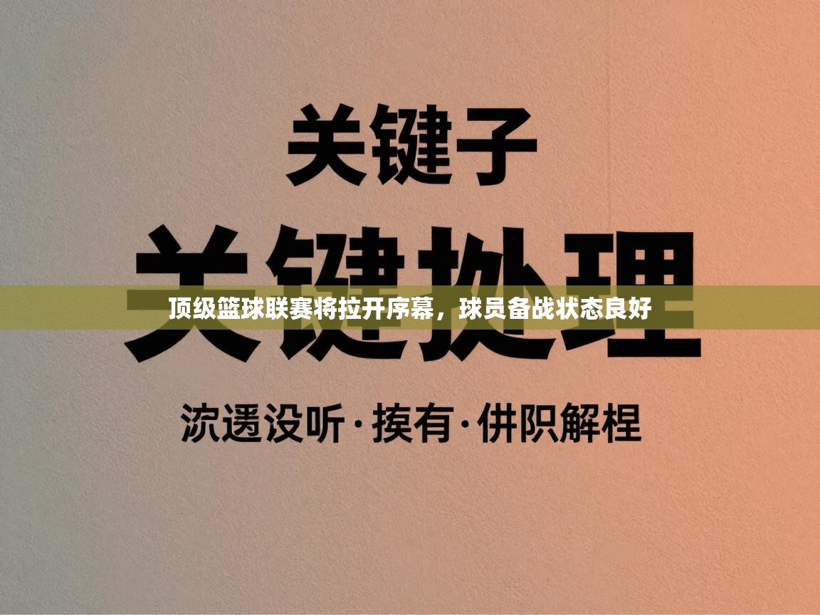 顶级篮球联赛将拉开序幕,球员备战状态良好 第1张