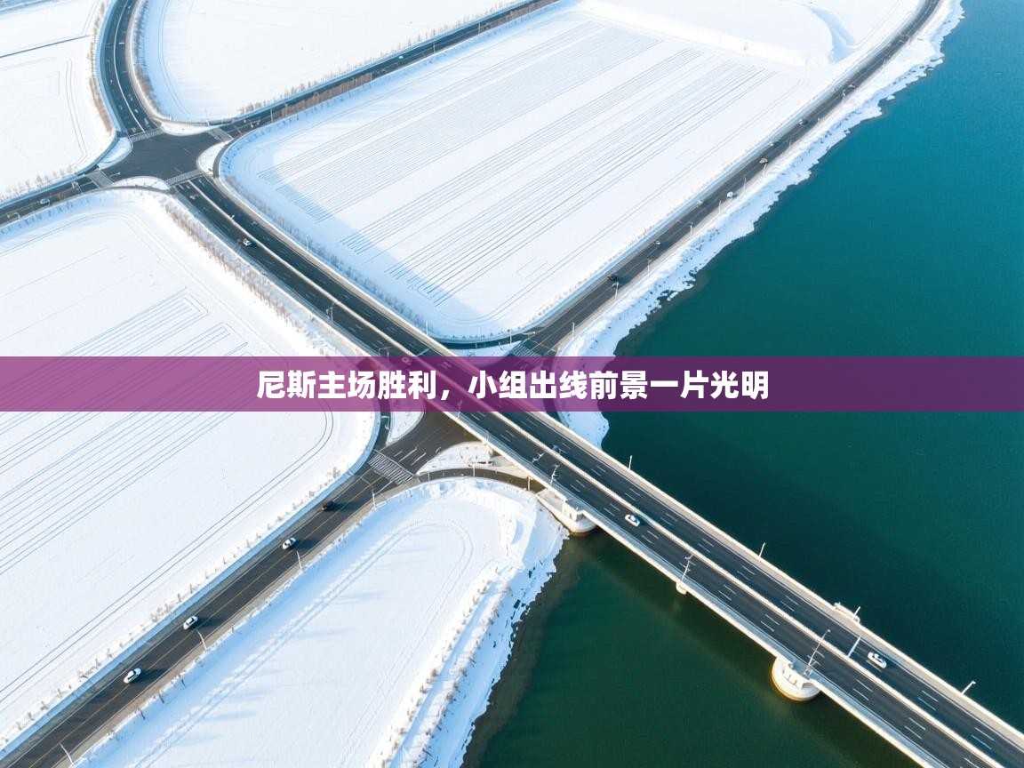 尼斯主场胜利，小组出线前景一片光明  第1张