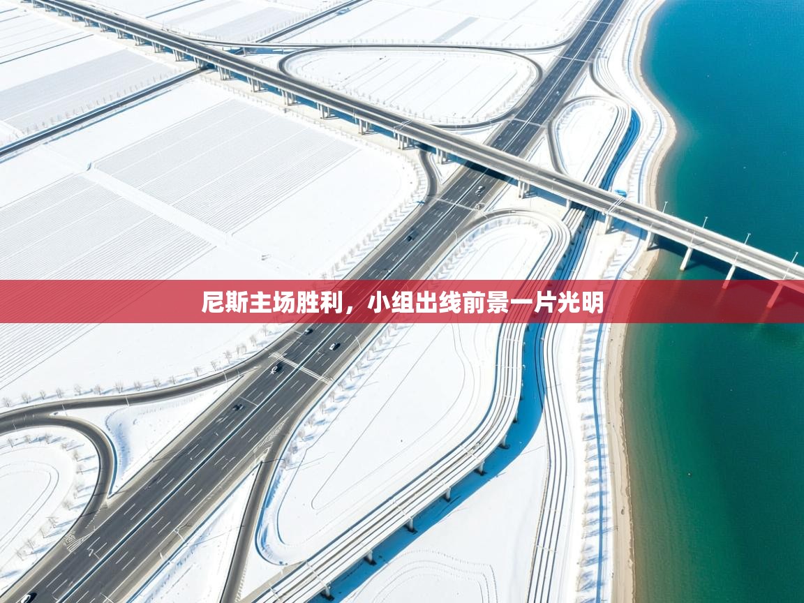 尼斯主场胜利，小组出线前景一片光明  第2张